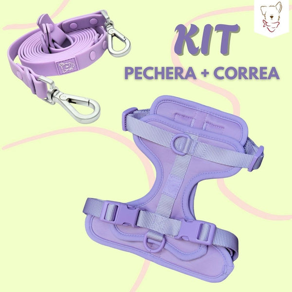Kit correa manos libres + pechera Lilac