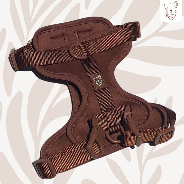 Pechera Café safe-comfy
