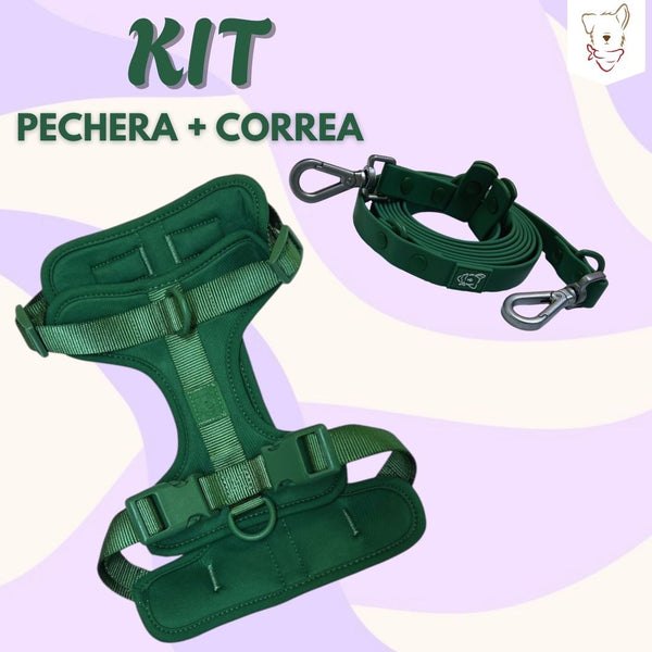 Kit correa manos libres + pechera verde