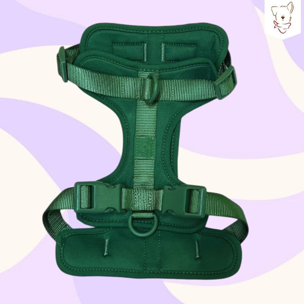 Pechera Verde safe-comfy