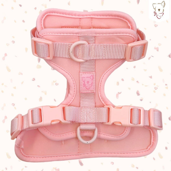 Pechera Rosa safe-comfy