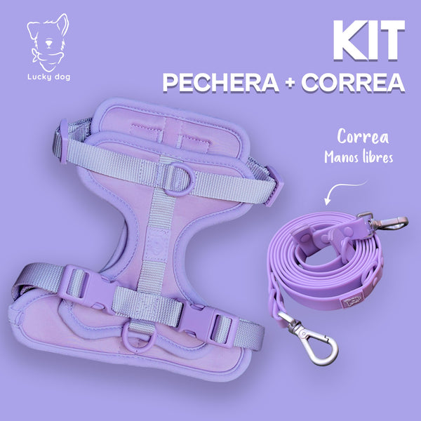 Kit correa manos libres + pechera Lilac